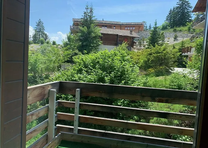 Edelweiss F 804 A Proche Du Centre Daire Anzère